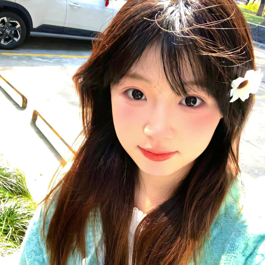 休战协定